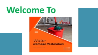 Why Choose MSI for Professional Water Damage Restoration Services