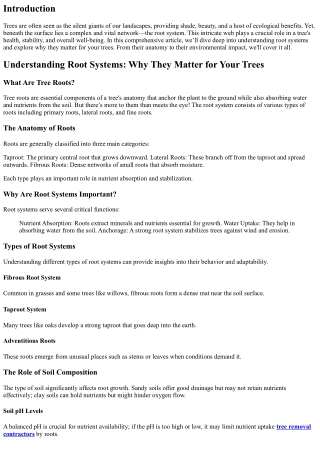 Understanding Root Systems: Why They Matter for Your Trees