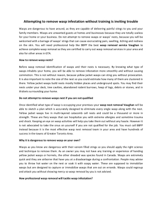 Attempting to remove wasp infestation without training is inviting trouble