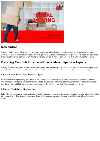 Preparing Your Pets for a Smooth Local Move: Tips from Experts