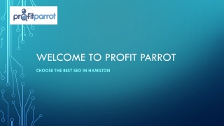 Choose The Best Services of SEO in Hamilton