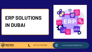 erp solutions in dubai PDF