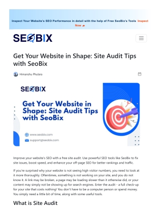 blog get your website in shape site audit tips with seobix