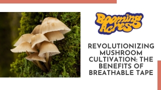 Revolutionizing Mushroom Cultivation The Benefits of Breathable Tape
