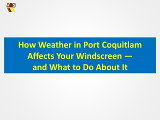 How Weather in Port Coquitlam Affects Your Windscreen — and What to Do About It