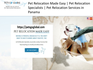 Pet moving services Panama city