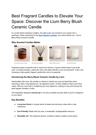 Best Fragrant Candles to Elevate Your Space_ Discover the Llum Berry Blush Ceramic Candle