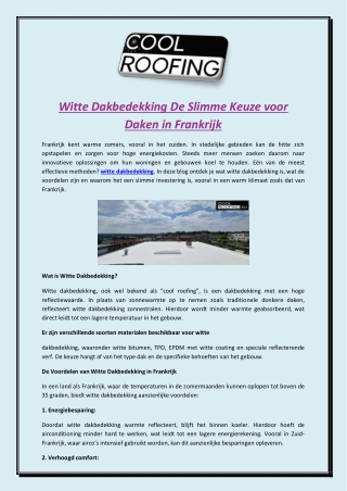 Witte Dakbedekking De Slimme Keuze voor Daken in Frankrijk