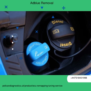 Adblue Removal