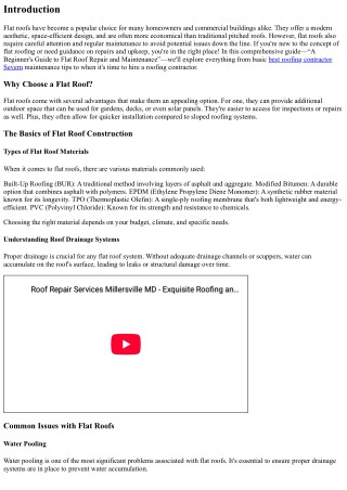 “A Beginner's Guide to Flat Roof Repair and Maintenance”