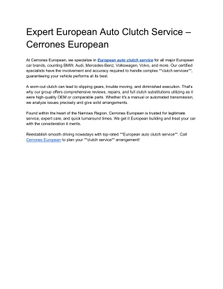 european auto clutch service