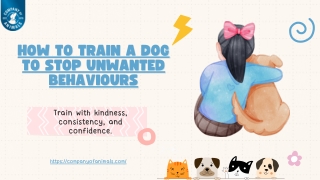 How To Train A Dog To Stop Unwanted Behaviours
