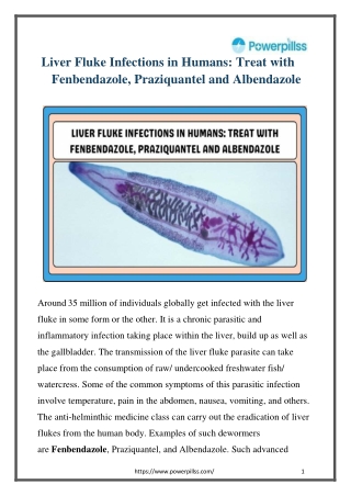 Liver Fluke Infections in Humans treat with Fenbendazole, Praziquantel and Albendazole
