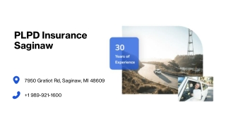 PLPD Insurance Saginaw