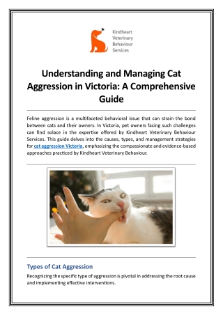 Understanding and Managing Cat Aggression in Victoria A Comprehensive Guide