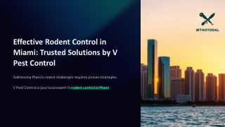 Effective Rodent Control in Miami Trusted Solutions by V Pest Control
