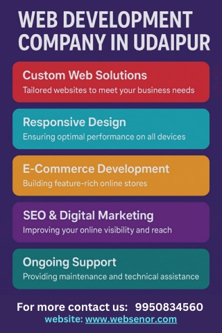 Inside the Web Creation Process of a Leading Web Development Company in Udaipur