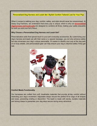 Personalized Dog Harness and Leash Set - Stylish Comfort Tailored Just for Your Pup