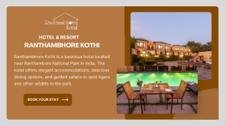 5 Star Hotels In Ranthambore