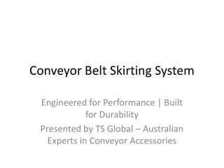 Conveyor Belt Skirting System