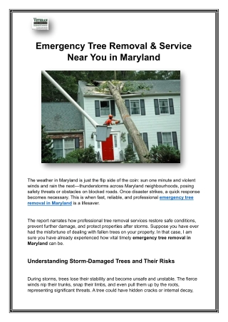 Emergency Tree Removal & Service Near You in Maryland