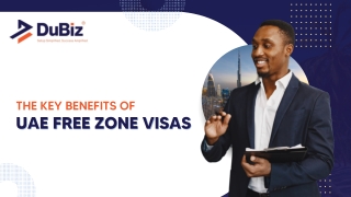 The Key Benefits of UAE Free Zone Visas