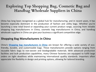 Exploring Top Shopping Bag, Cosmetic Bag and Handbag Wholesale Suppliers in China