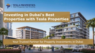 Investing in Dubai’s Best Properties with Tesla Properties