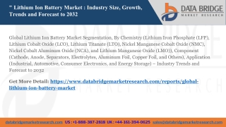 Global Lithium Ion Battery Market