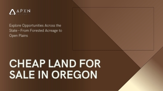 Top Locations for Cheap Land for Sale in Oregon A Buyer’s Guide