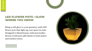 Brighten Up Your Space with LED Flower Pots from Sereno