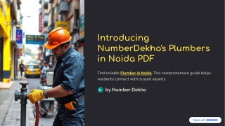 Noida’s Plumbing Pros: The Ultimate Guide to Hiring Reliable Plumbers Near You