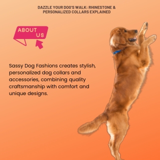 Dazzle Your Dog’s Walk: Rhinestone & Personalized Collars Explained