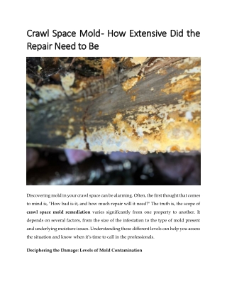 Crawl Space Mold - How Extensive Did the Repair Need to Be