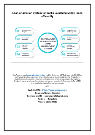 Loan origination system for banks launching MSME loans efficiently