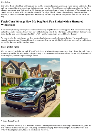Fetch Gone Wrong: How My Dog Park Fun Ended with a Shattered Windshield