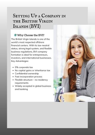 Setting Up a Company in the British Virgin Islands (BVI)