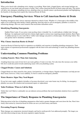 Emergency Plumbing Services: When to Call American Rooter & Drain