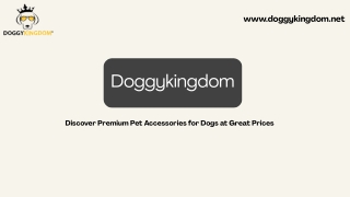 Discover Premium Pet Accessories for Dogs at Great Prices
