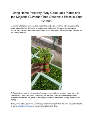 Buy Cactus Plants in India – Unique, Low-Maintenance Plants