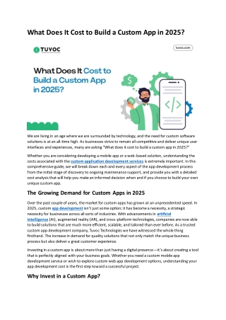 What Does It Cost to Build a Custom App in 2025?