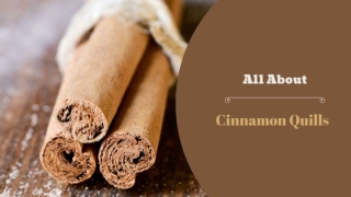 All About Cinnamon Quills - Wholesale Spices Suppliers In South Africa - KitchenHut (Pty) Ltd