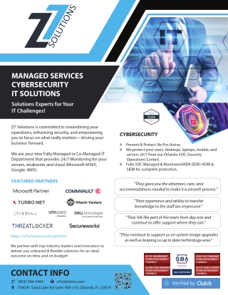 Managed Services Provider Florida