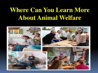 Where Can You Learn More About Animal Welfare