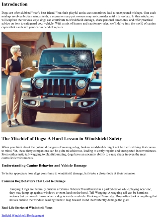 The Mischief of Dogs: A Hard Lesson in Windshield Safety