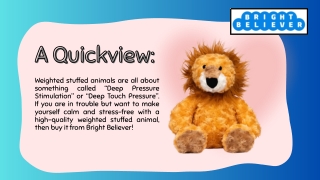 Anxiety Reduction Weighted Stuffed Animal Toys for All