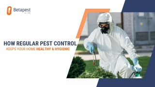 How Regular Pest Control Keeps Your Home Healthy & Hygienic