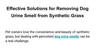Effective Solutions for Removing Dog Urine Smell from Synthetic Grass
