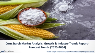 Corn Starch Market Size, Share & Industry Insights Forecast (2025-2034)