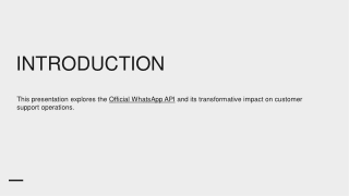 Streamlining Customer Support with the Official WhatsApp API A Complete Guide